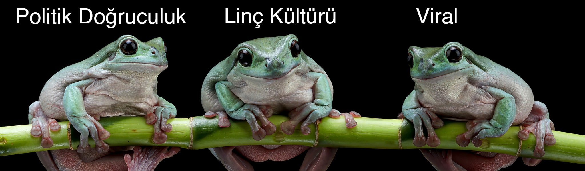 Sosyal Medyada Kriz Yönetimi Nasıl Yapılır?